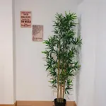 Апартаменты La Casina De Leo Y Mia - Centro De 6p - Wifi - Vut-3398-as *