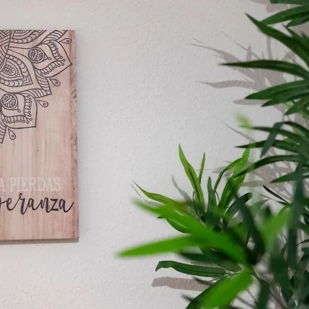 La Casina De Leo Y Mia - Centro De 6p - Wifi - Vut-3398-as Appartement