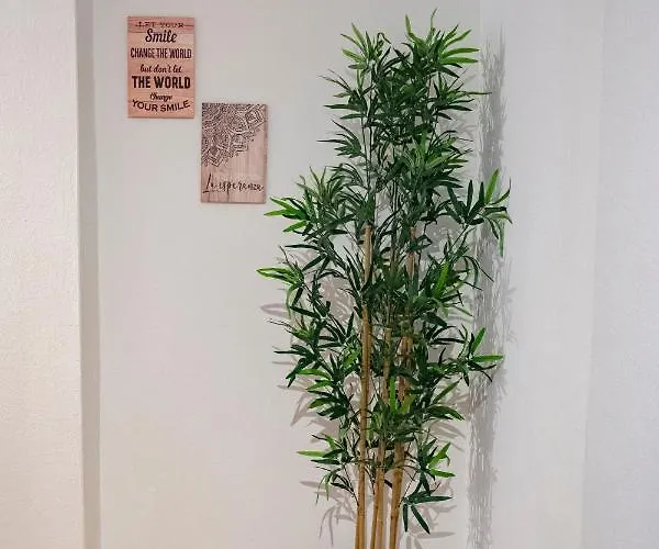 Appartement La Casina De Leo Y Mia - Centro De 6p - Wifi - Vut-3398-as *