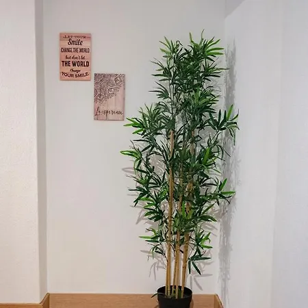 Apartamento La Casina De Leo Y Mía - Centro De 6p · Wifi *